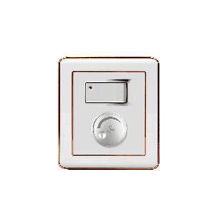 Akij Delight Fan Dimmer With Switch