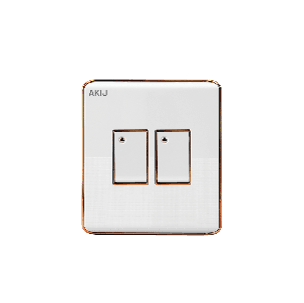 Akij Delight 2 Gang 2 Way Switch
