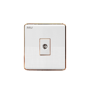 Akij Delight TV Socket